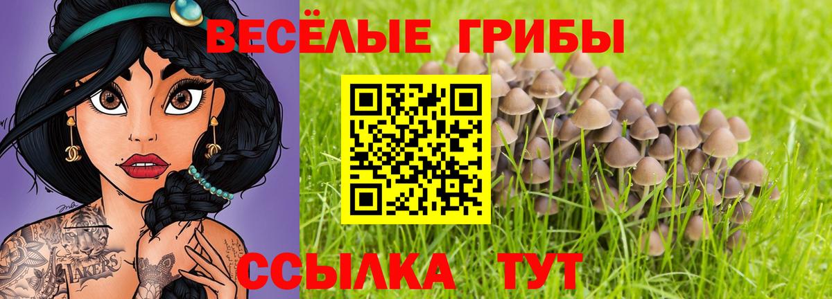 Галлюциногенные грибы Cubensis  Вход с VPN  Алапаевск 