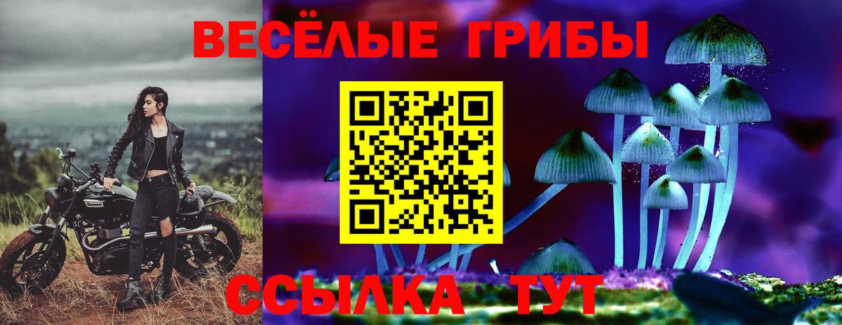 Галлюциногенные грибы Magic Shrooms Алапаевск